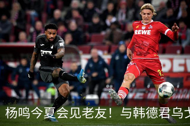 杨鸣今夏会见老友！与韩德君乌戈聚餐超开心，搭档哈德森参加活动